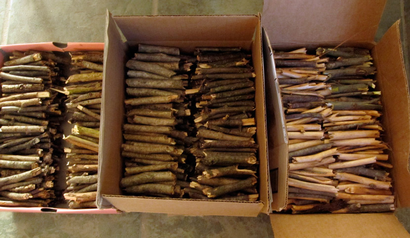 Boxes of twigs