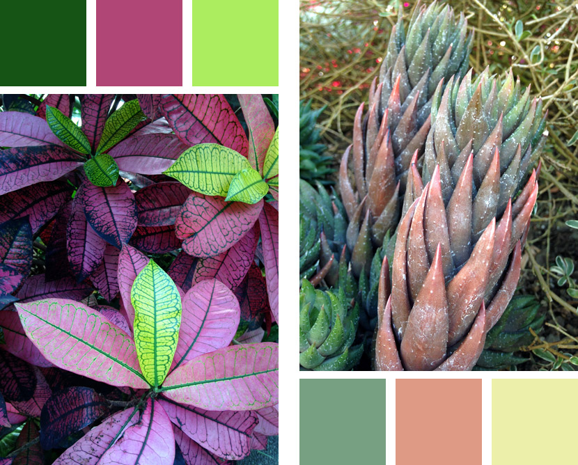 Color palettes found at Longwood Gardens