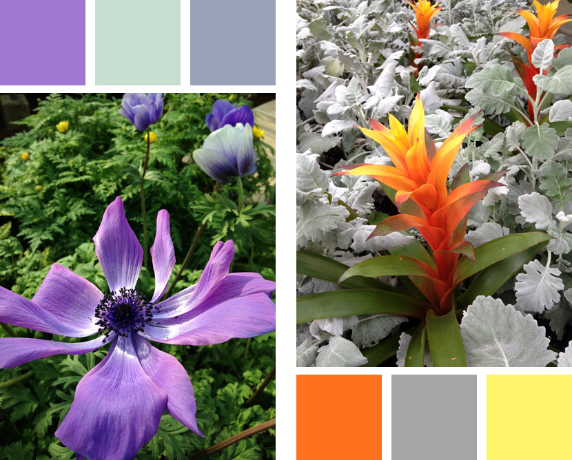 Color palettes found at Longwood Gardens